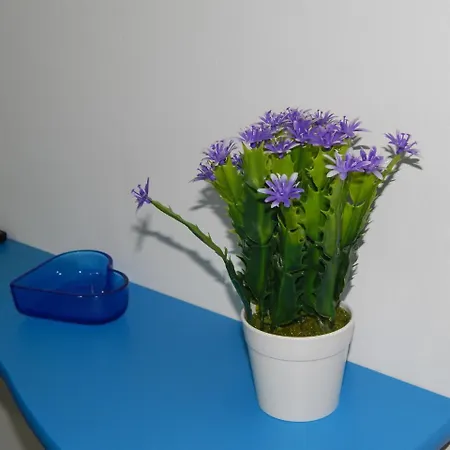 36 Passi Dal Mare Bed & Breakfast Trapani