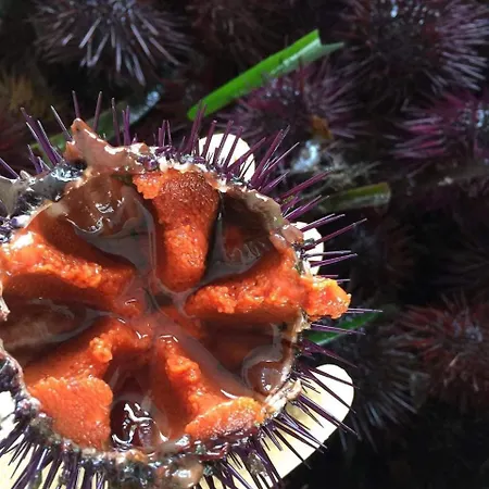 36 Passi Dal Mare Alojamento de Acomodação e Pequeno-almoço