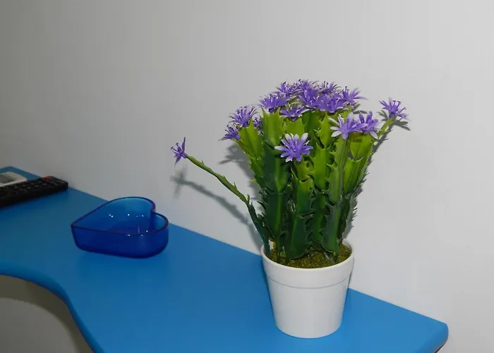 36 Passi Dal Mare Oda ve Kahvaltı Trapani