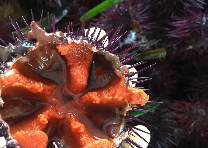 36 Passi Dal Mare Oda ve Kahvaltı